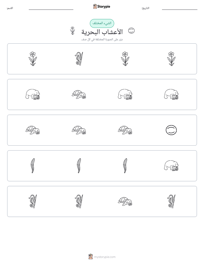 الغريب