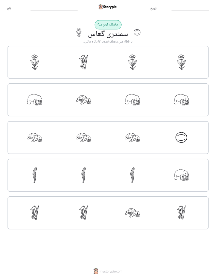 عجیب ایک