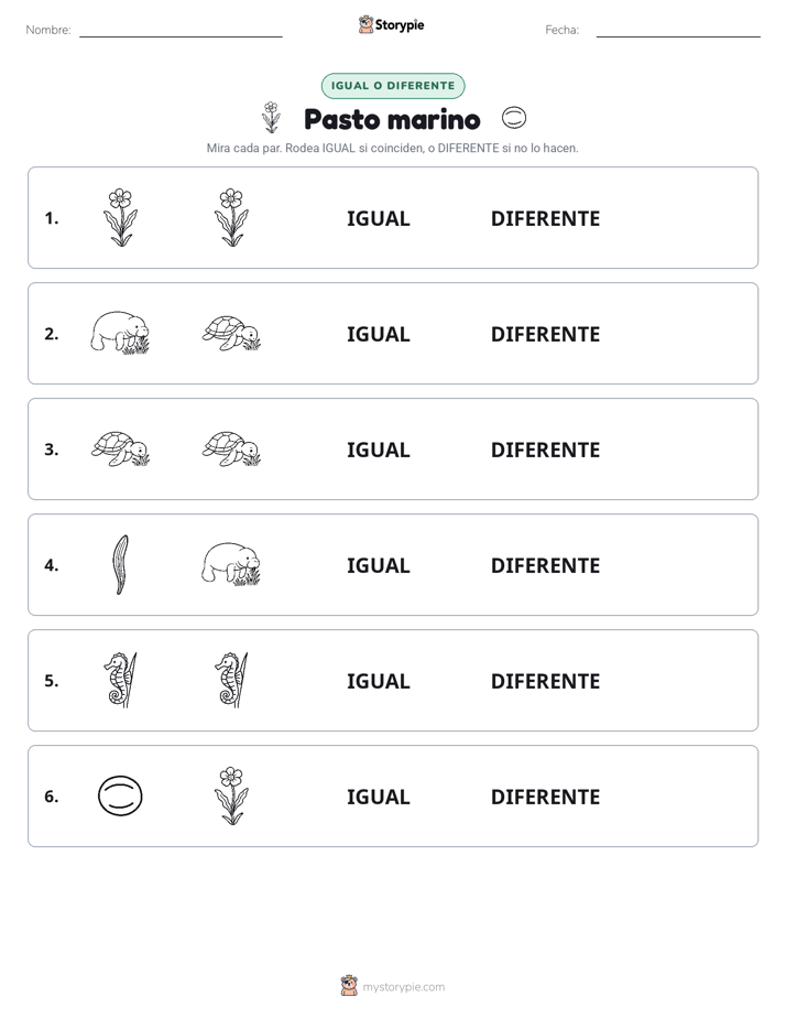Igual o Diferente