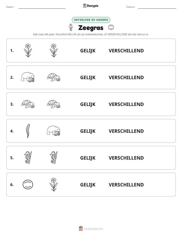 Zelfde of Verschillend