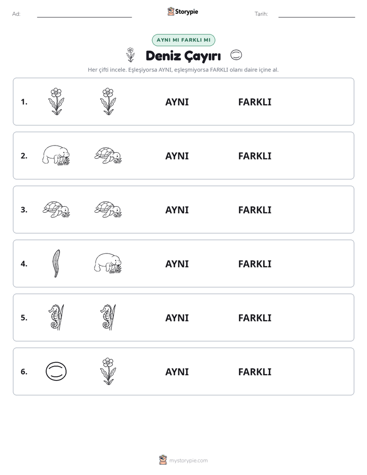 Aynı mı Farklı mı