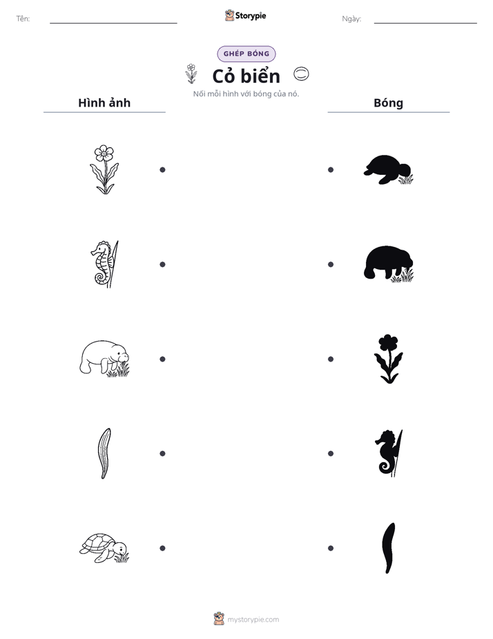 Ghép Hình Bóng