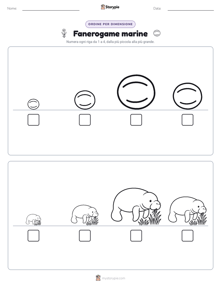 Ordine di Dimensione