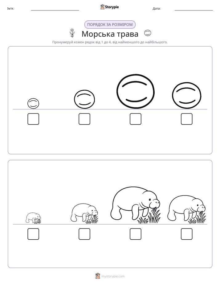 Порядок Розміру