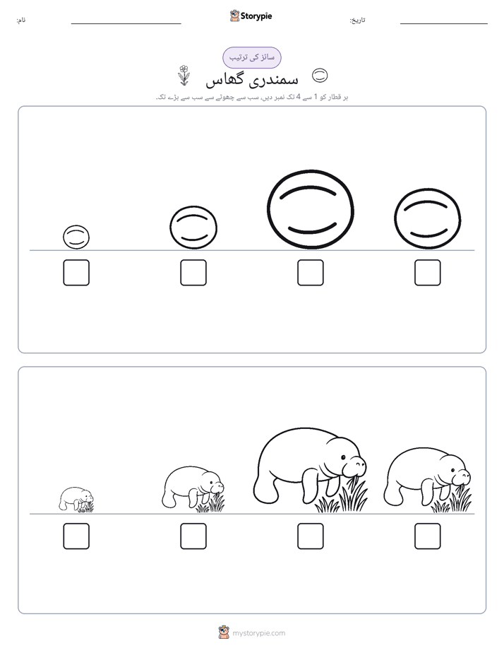 سائز کی ترتیب