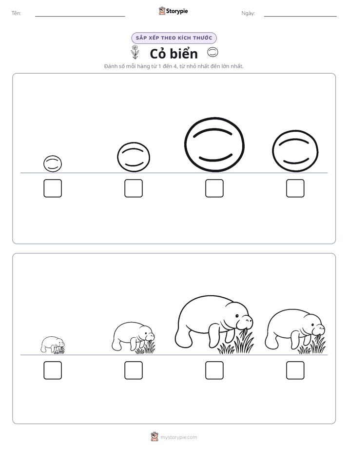 Thứ Tự Kích Thước
