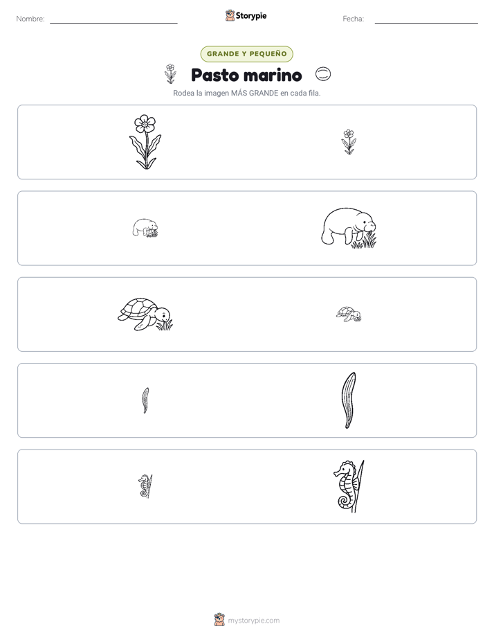 Clasificación