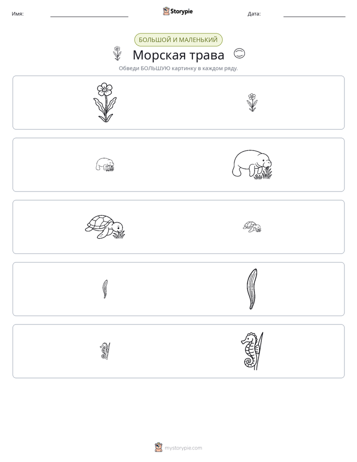 Сортировка