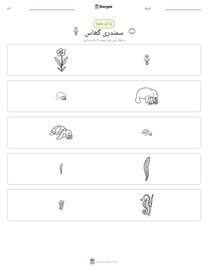 ترتیب دینا