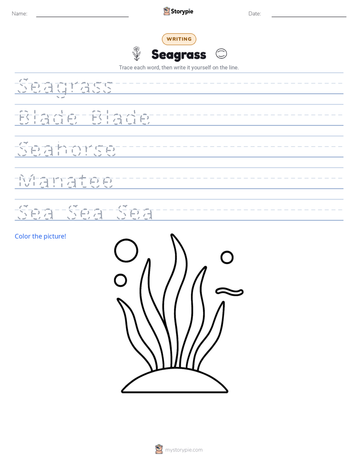 Writing Practice