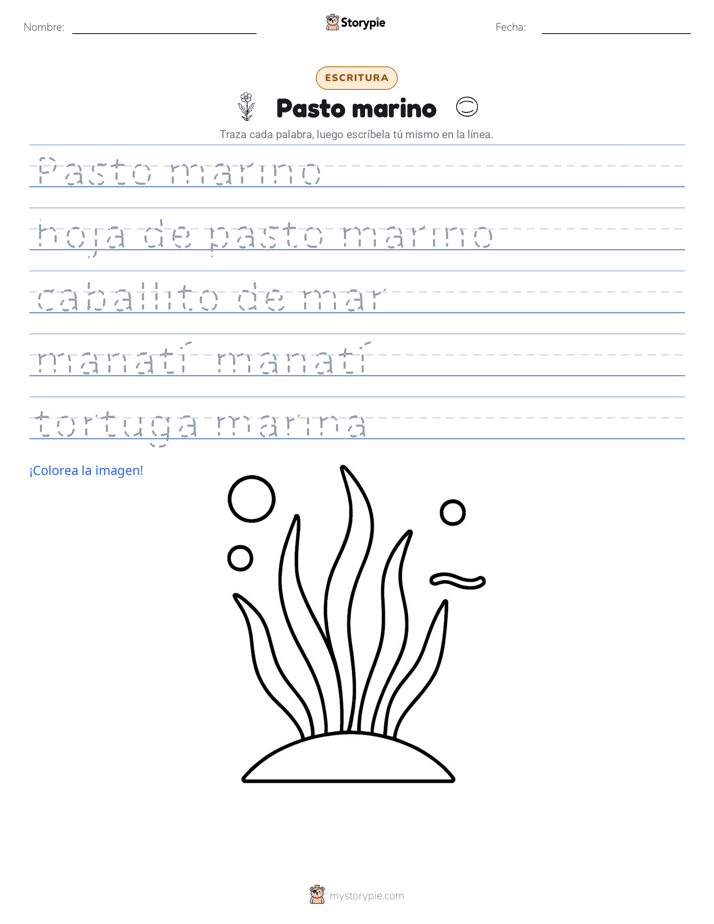 Práctica de Escritura