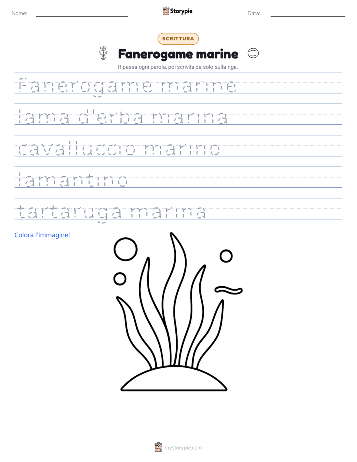 Pratica di Scrittura