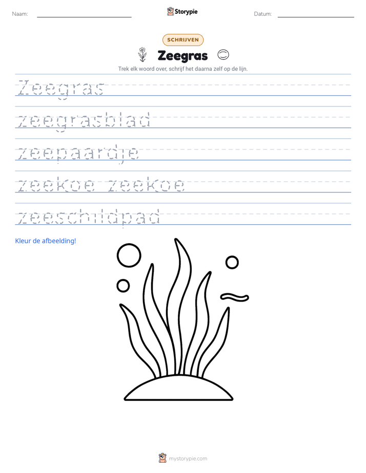 Schrijf Oefening