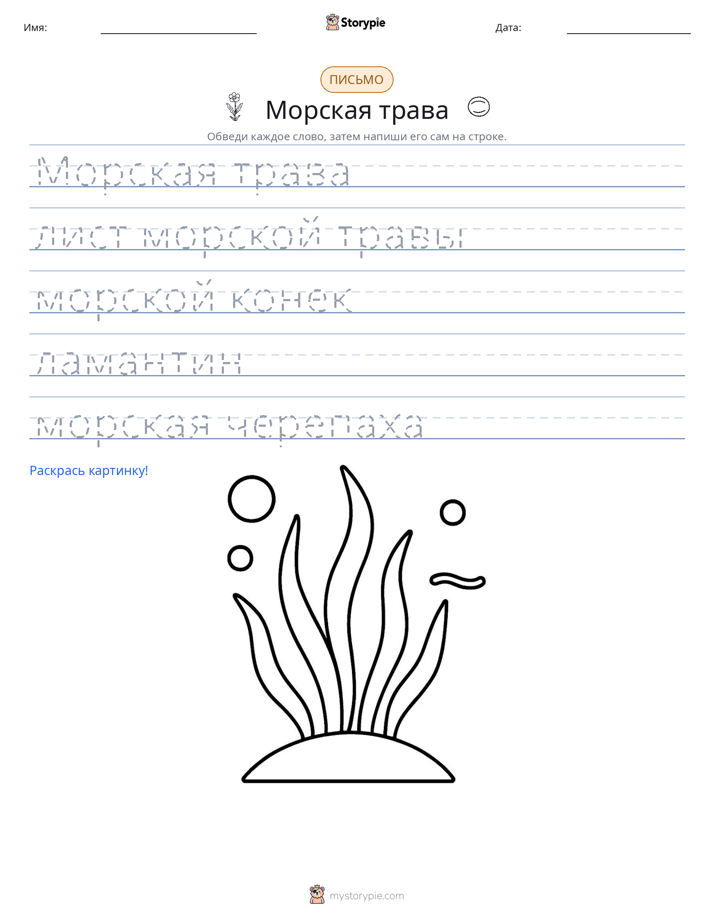 Практика письма