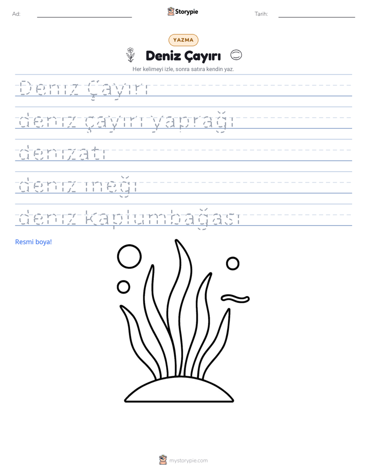 Yazma Pratiği