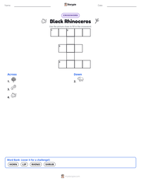 Black Rhinoceros printable worksheet preview
