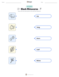 Black Rhinoceros printable worksheet preview