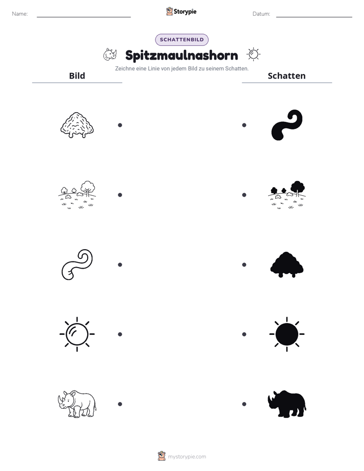 Schattenmatch