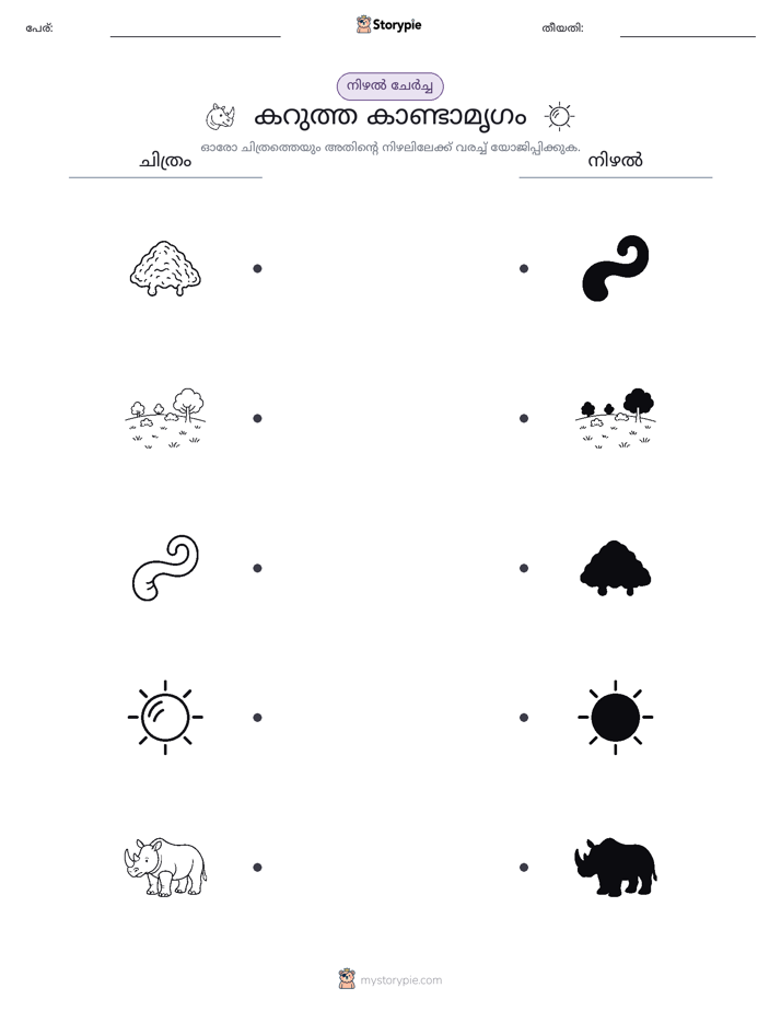 ഷാഡോ മാച്ച്