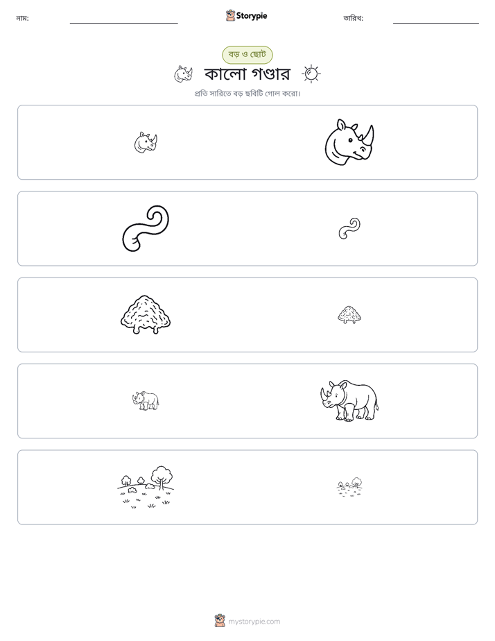সাজানো