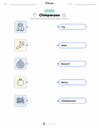 Chimpanzee printable worksheet for kids