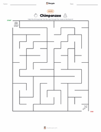 Chimpanzee printable worksheet preview