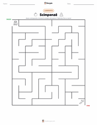 Anteprima della scheda stampabile di Scimpanzé