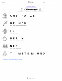 Chimpanzee printable worksheet preview