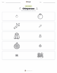 Chimpanzee printable worksheet preview