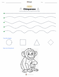 Chimpanzee printable worksheet preview