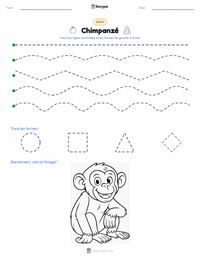 Aperçu de la feuille de travail imprimable Chimpanzé