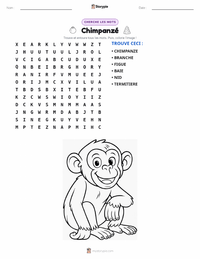 Aperçu de la feuille de travail imprimable Chimpanzé