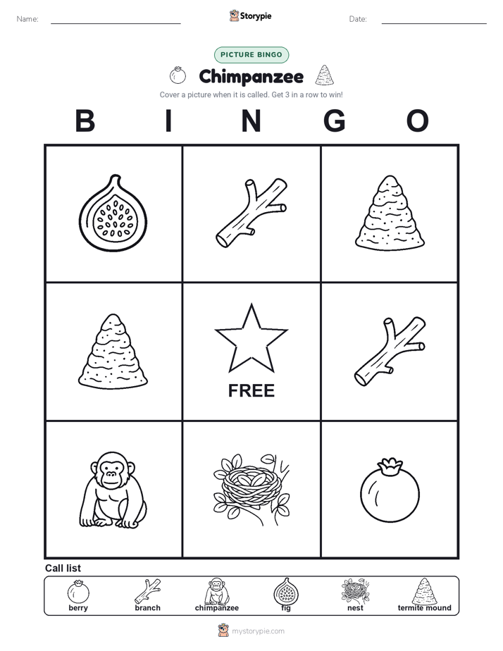 Picture Bingo