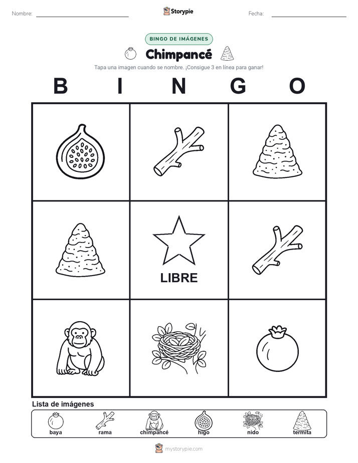 Bingo de Imágenes