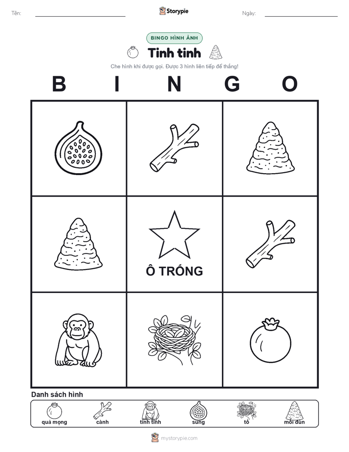 Bingo Hình Ảnh
