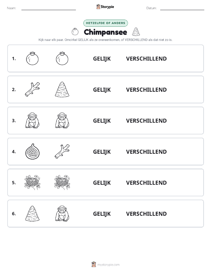 Zelfde of Verschillend