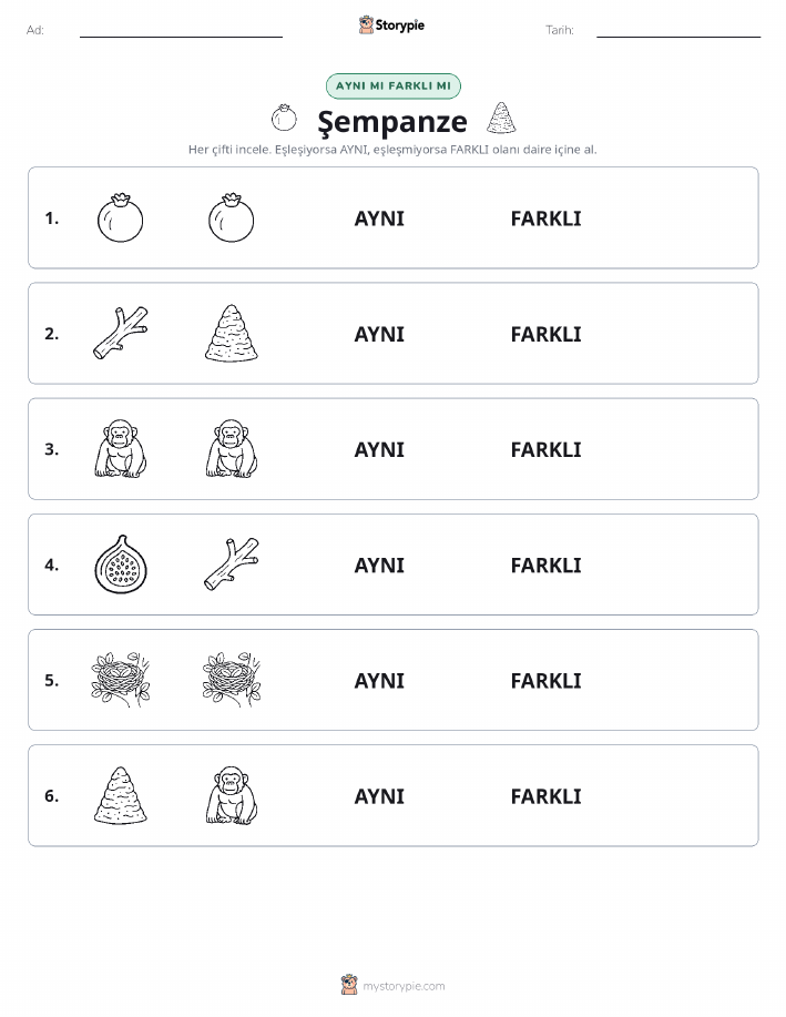 Aynı mı Farklı mı