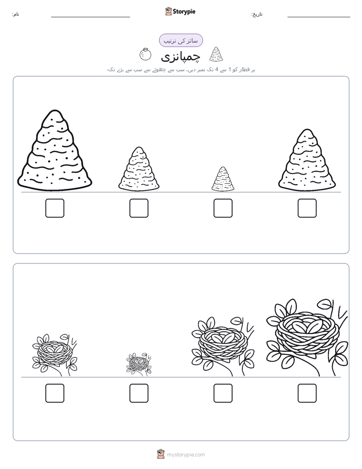 سائز کی ترتیب