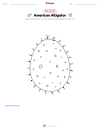 American Alligator printable worksheet preview