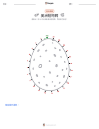 美洲短吻鳄 可打印工作表预览
