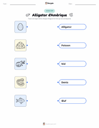 Feuille de travail imprimable Alligator d'Amérique pour les enfants