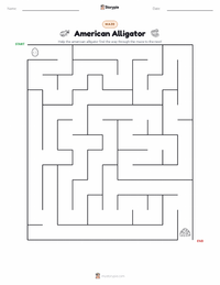 American Alligator printable worksheet preview