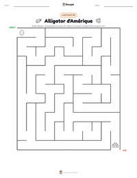 Aperçu de la feuille de travail imprimable Alligator d'Amérique