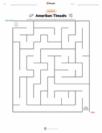Amerikan Timsahı yazdırılabilir çalışma sayfası önizlemesi