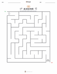 美洲短吻鳄 可打印工作表预览