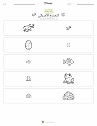 معاينة ورقة العمل القابلة للطباعة التمساح الأمريكي