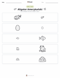 Podgląd drukowalnego arkusza ćwiczeń Aligator amerykański