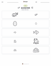 美洲短吻鳄 可打印工作表预览