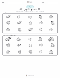 معاينة ورقة العمل القابلة للطباعة التمساح الأمريكي