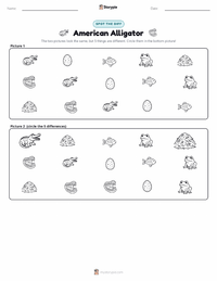 American Alligator printable worksheet preview